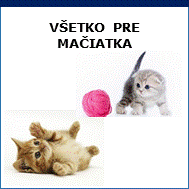 všetko pre mačiatka